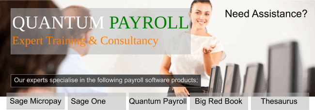 Quantum Payroll Software